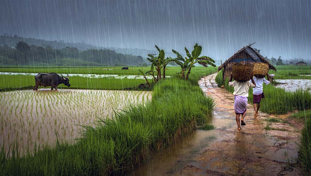A Rainy Day Paragraph articlesschool
